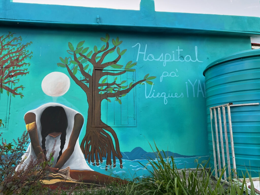 A mural of a woman crouching down in front of trees and water